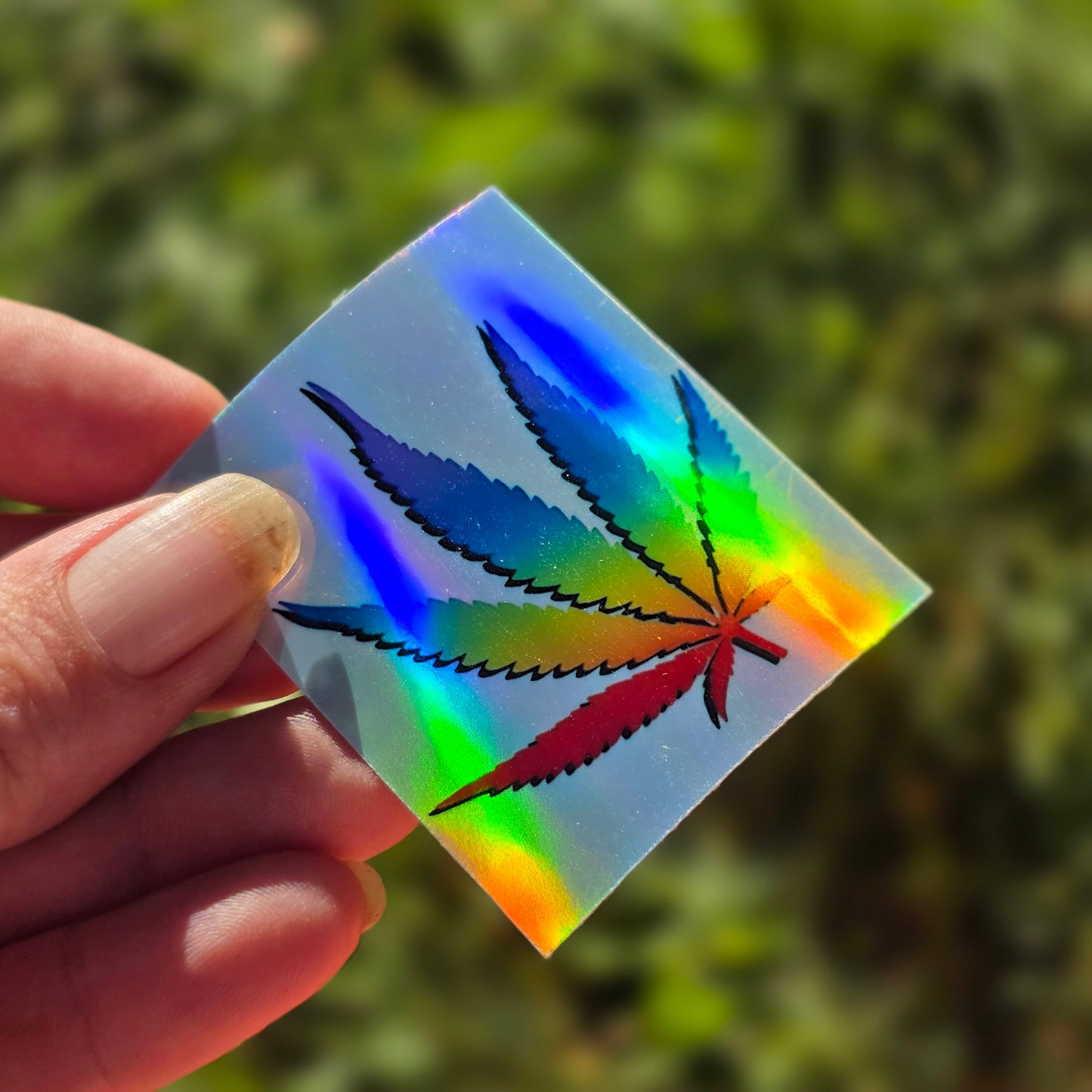 3 Sticker Pack