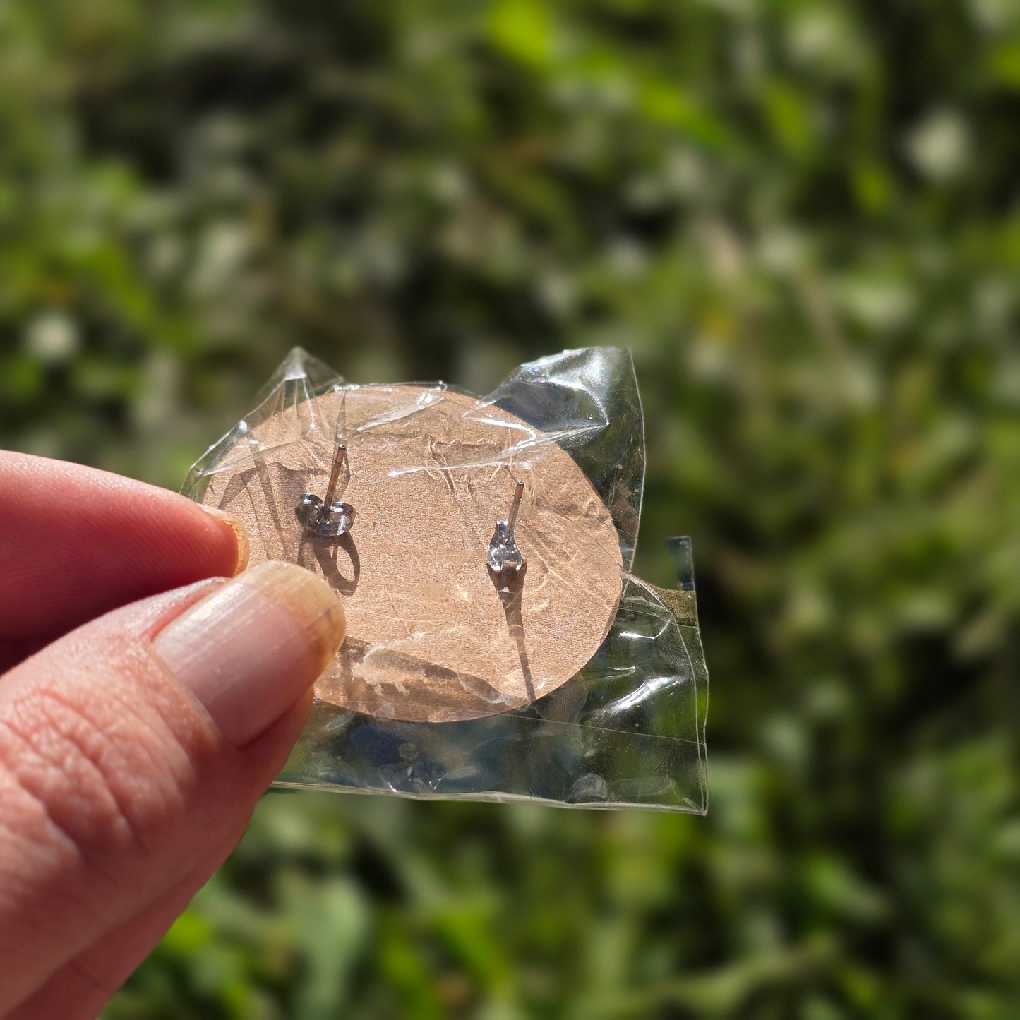 Hearticane Earrings